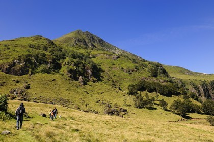 France, Cantal (15), monts du Cantal, Parc Naturel Régional des Volcans d' Auvergne, randonnée au pied de la montagne du Puy-Mary (1783m)