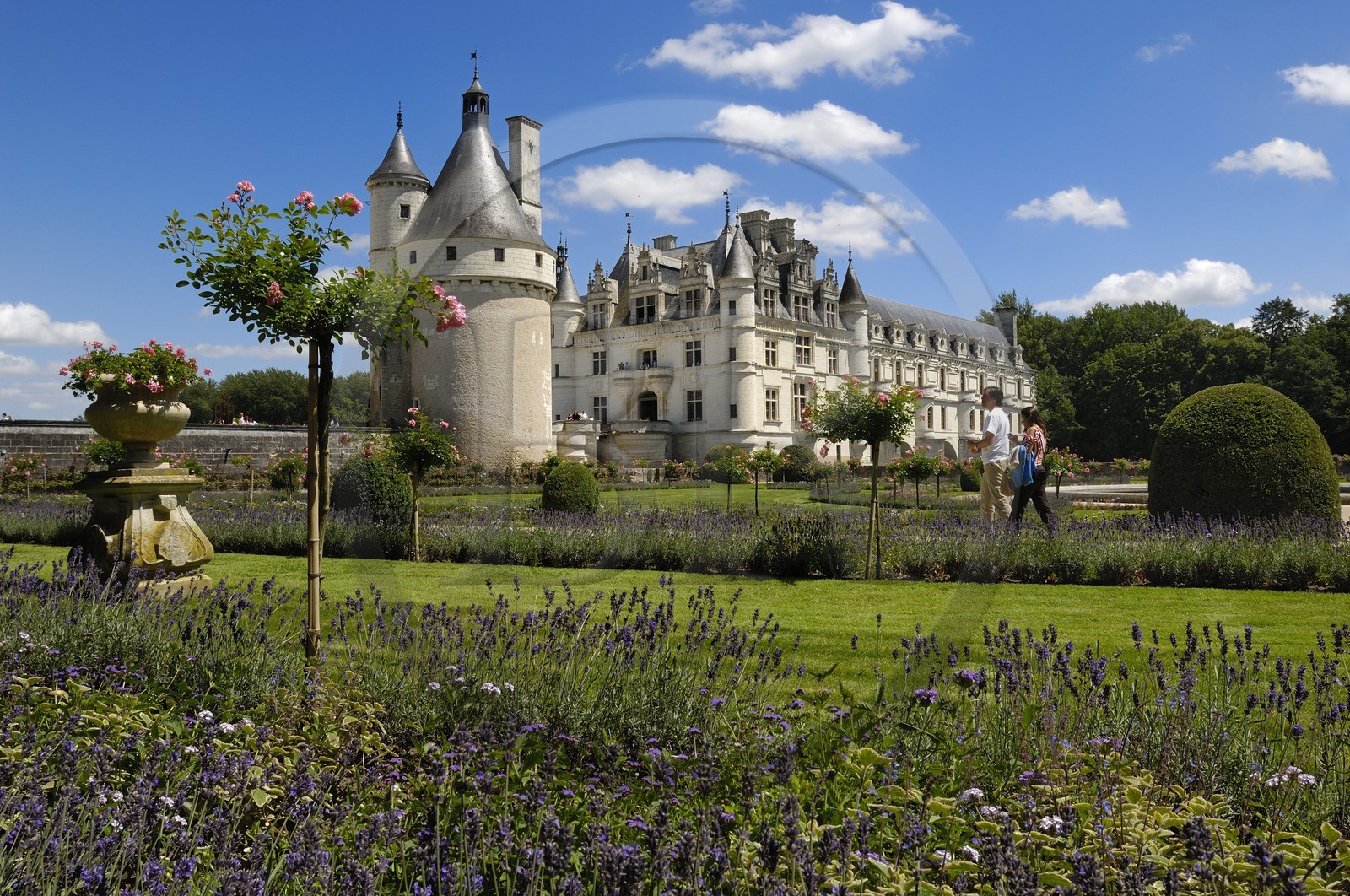 France, Indre et Loire, Chateau de Chenonceau of Renaissance style built between 1513 and 1522, Catherine de Medici's garden