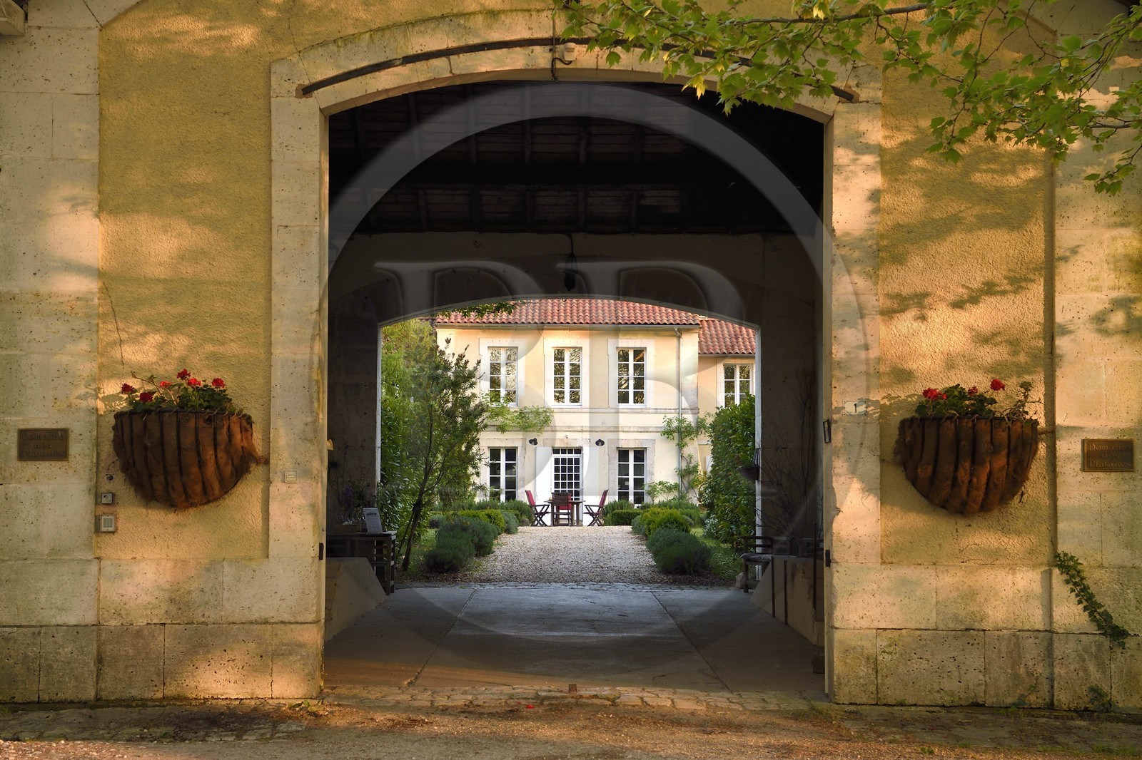 France, Charente, Bourg-Charente, bed and breakfast le Domaine des Platanes