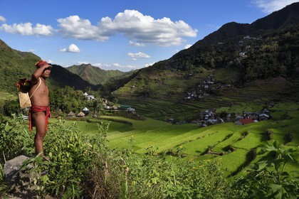 Philippines, province d'Ifugao, les rizières en terrasses de Banaue autour du village de Batad, classées Patrimoine Mondial de l'UNESCO, le guide Adolpho revetu du costume traditionnel Ifugao