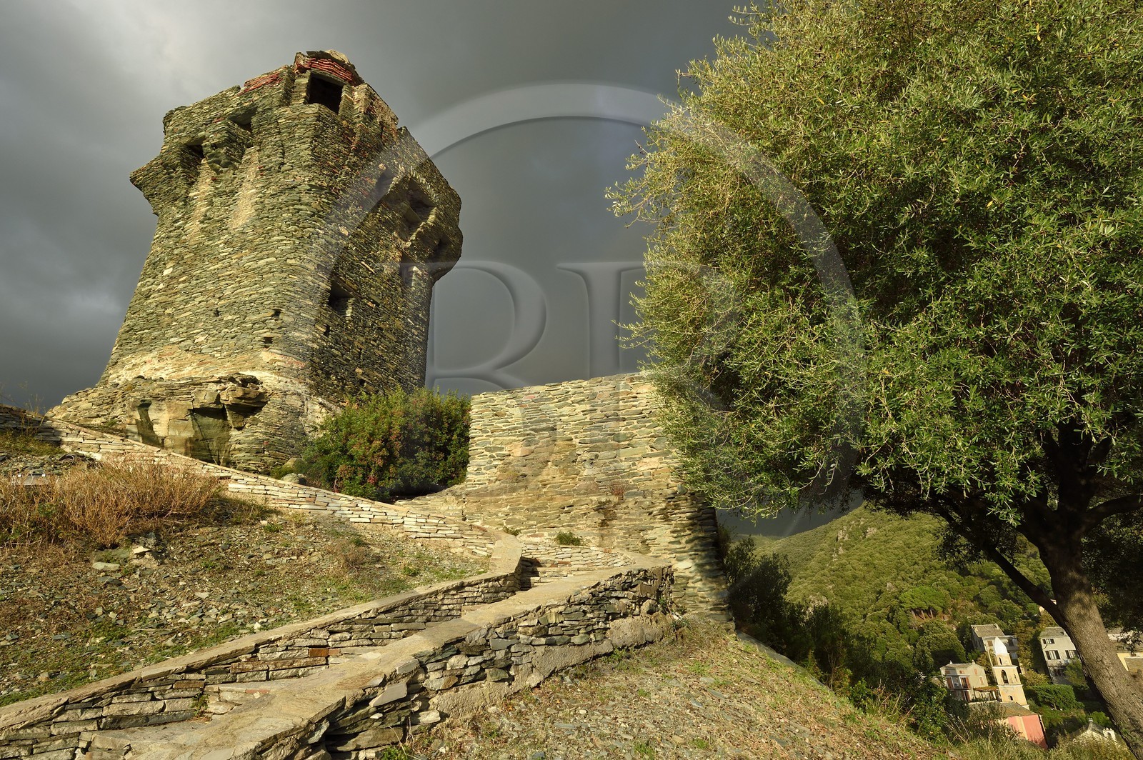 France, Haute-Corse (2B), Cap Corse, Nonza, la Tour paoline (Torra paolina)