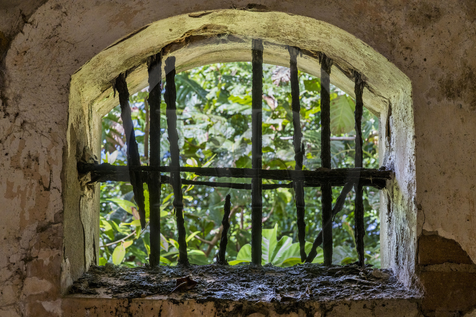 France, Guyane, Kourou, Iles du Salut, Ile Royale, le quartier disciplinaire du bagne pour les condamnés récalcitrants, barreaux d'une cellule rongée par la rouille