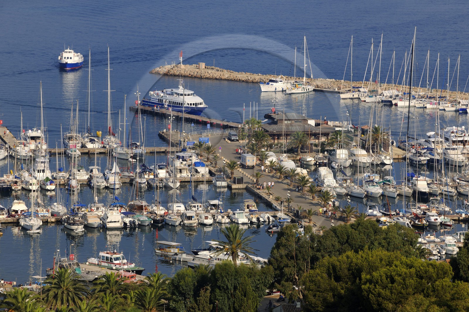 France, Var (83), Iles d'Hyères, parc national de Port-Cros, île de Porquerolles, le port du village