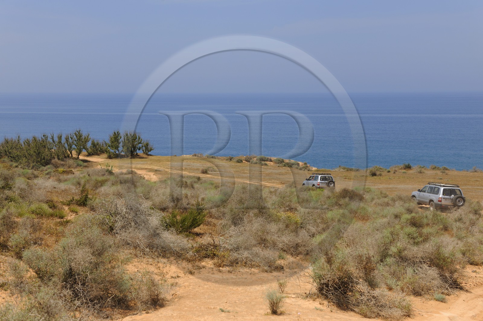 Maroc, région de l'Oriental, falaises de la Mer Rouge à l'ouest de Mediterrania Saïdia