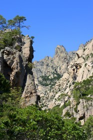 France, Corse-du-Sud (2A), Alta Rocca, Bavella, vallée de la rivière de Polischellu