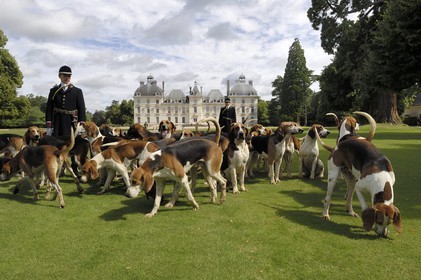 France, Loir-et-Cher (41), château de Cheverny, les piqueux Vol au Vent et La Rosée qui gèrent la meute de 90 chiens de chasse à cour
