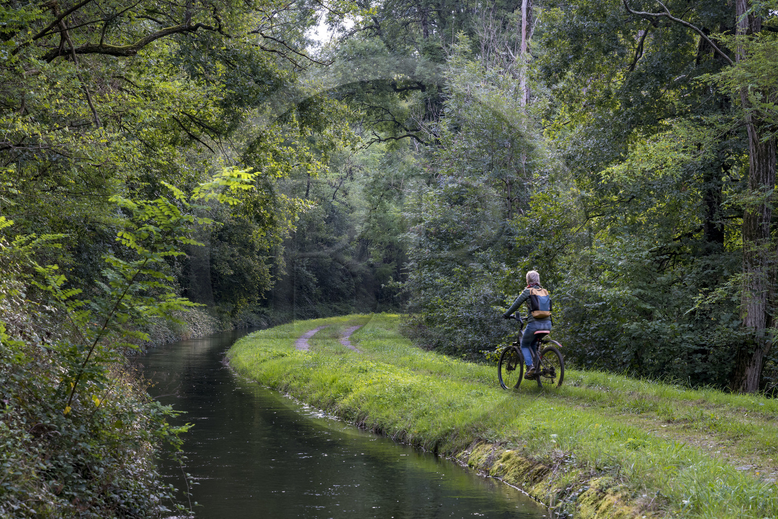 France, Nievre, Regional Natural Park of Morvan, Montigny-en-Morvan downstream from Lake Pannecière, cyclist on the path along the Rigole d’Yonne which draws water from the Yonne at Lake Pannecière and feeds the Nivernais Canal