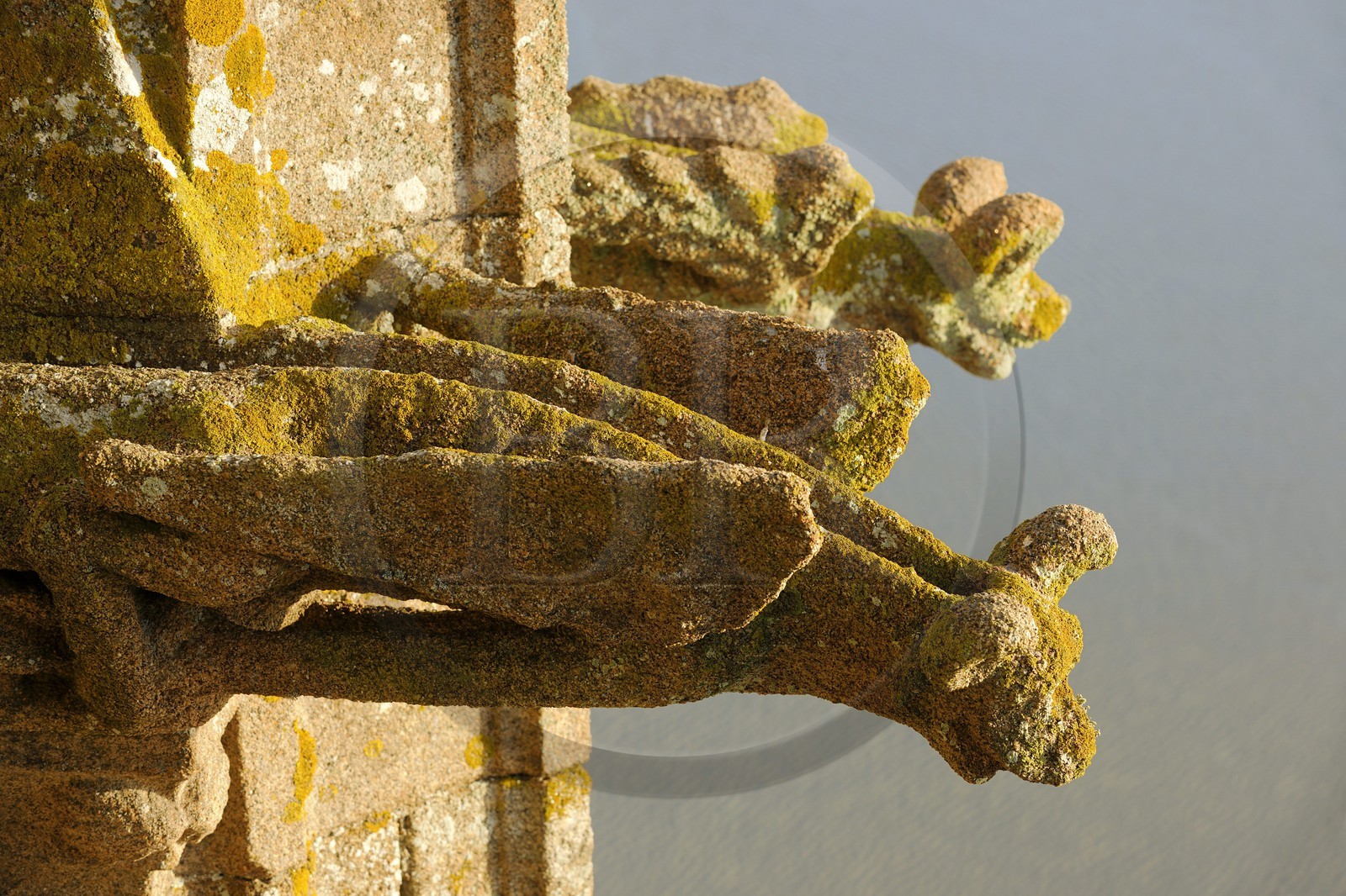 France, Manche, the abbey of Mont Saint Michel, listed as World Heritage by UNESCO, the gargoyles of the church
