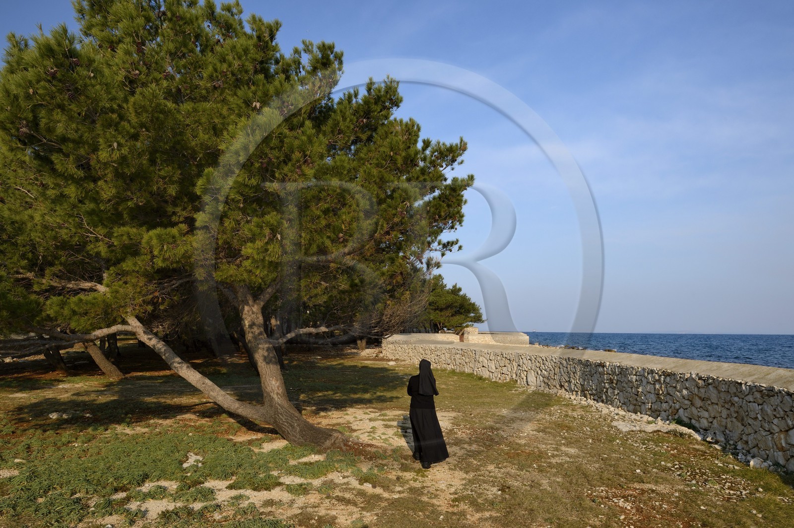 Croatie, Dalmatie, côte dalmate, Ile d’Ugljan, couvent franciscain Saint-Jérôme de la congrégation des Filles de la Miséricorde, sœur Theresija dans le jardin en bordure de mer