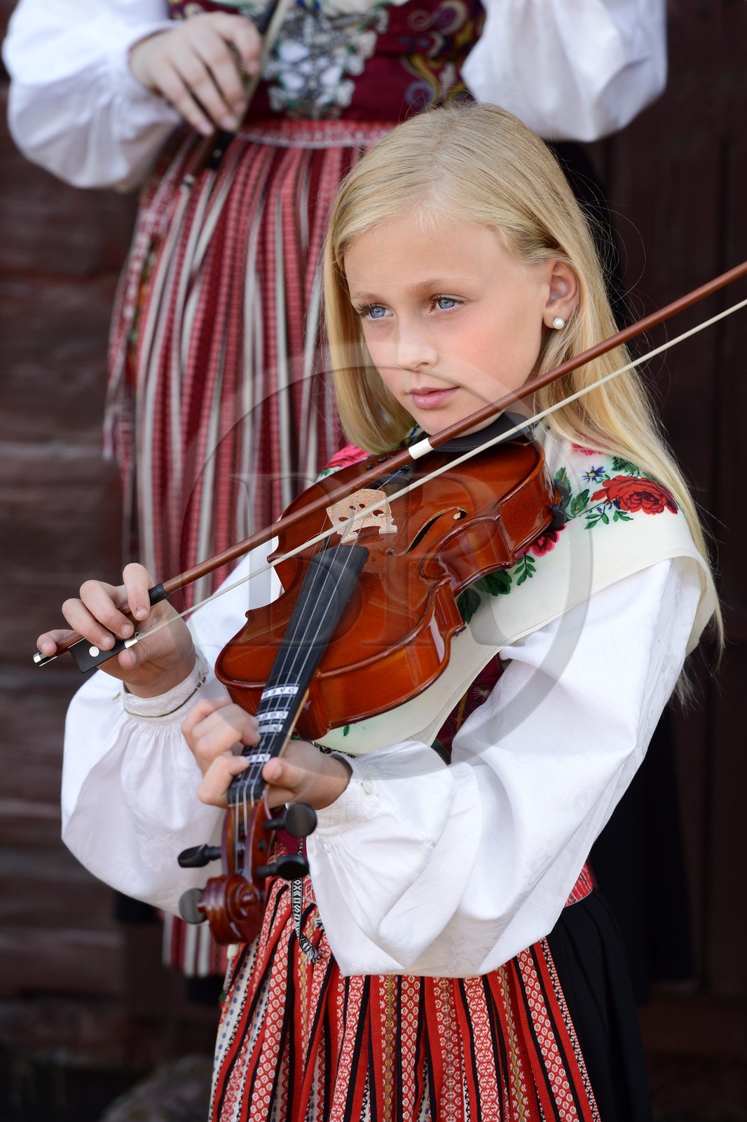 Suède, comté de Dalécarlie, région de Leksand, célébrations du solstice d'été dans le petit hameau de Hjulbäck, jeune fille en costume traditionnel jouant du violon