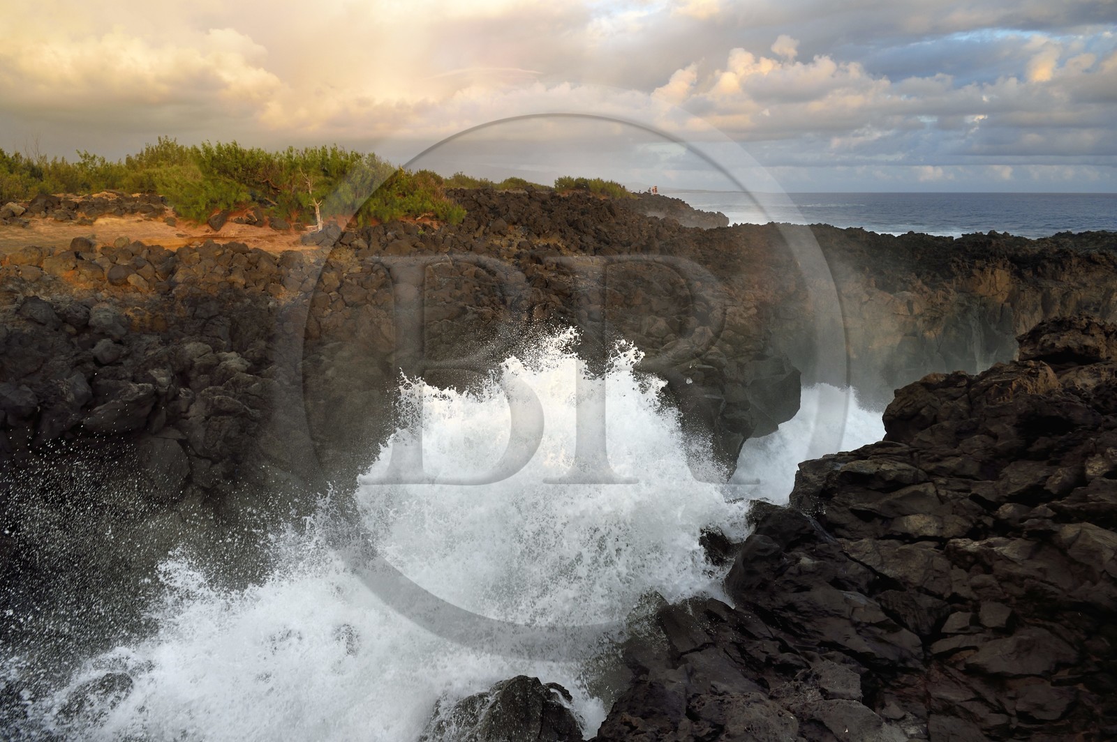 France, Ile de la Reunion, L'Etang Salé les Bains, au lieu dit Le Gouffre, long couloir naturel formé par les roches noires basaltiques tourmentées par l'océan