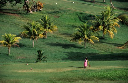 Jamaïque, entretien du terrain de golf de l' hôtel Tryall à Montego bay