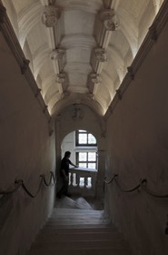 France, Indre-et-Loire (37), château de Chenonceau édifié de 1513 à 1521 de style Renaissance, l'escalier droit