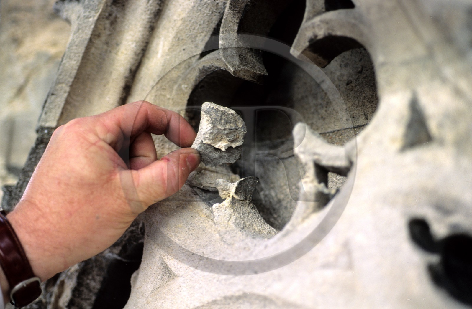 France, Paris (75), Notre-Dame de Paris, les effets de la pollution sur le pierre qui s'effrite