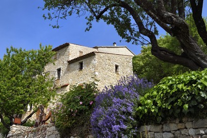 France, Var, Verdon Regional Natural Park, Bargeme village, labelled Les Plus Beaux Villages de France (The Most Beautiful Villages of France)
