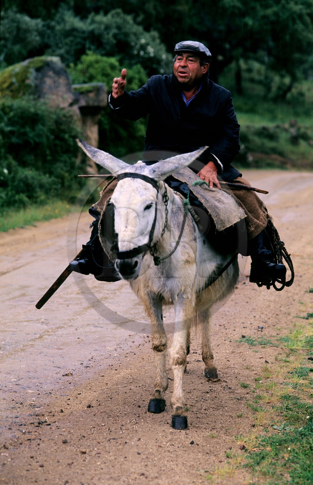 Spain, Estremadura, Alcuescar, a man on a donkey