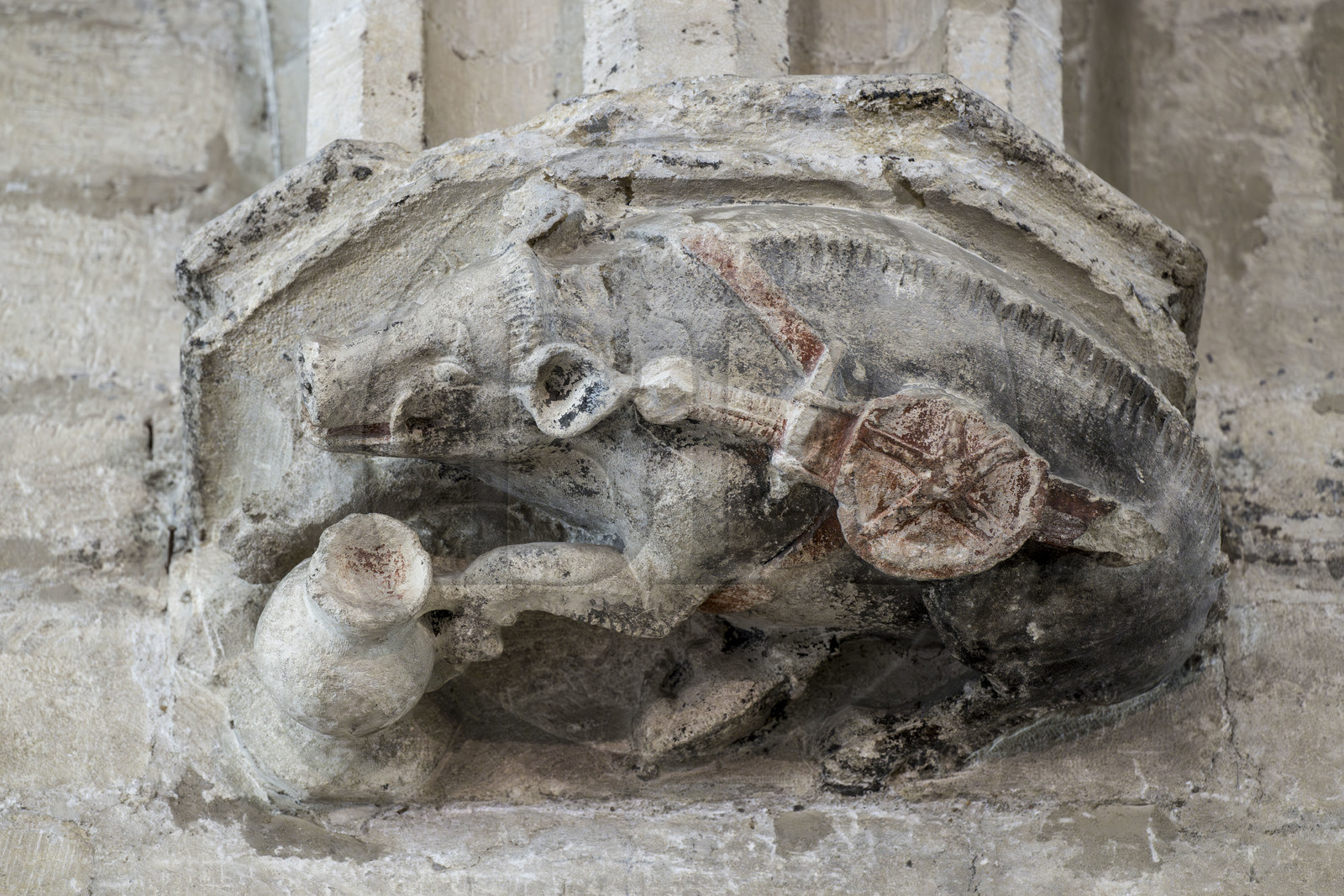France, Vaucluse (84), Avignon, Palais des Papes classé Patrimoine mondial de l'UNESCO, salle de la Grande Audience aussi tribunal de la Rota, cul-de-lampe polychrome du XIVème siècle représentant un sanglier vorace