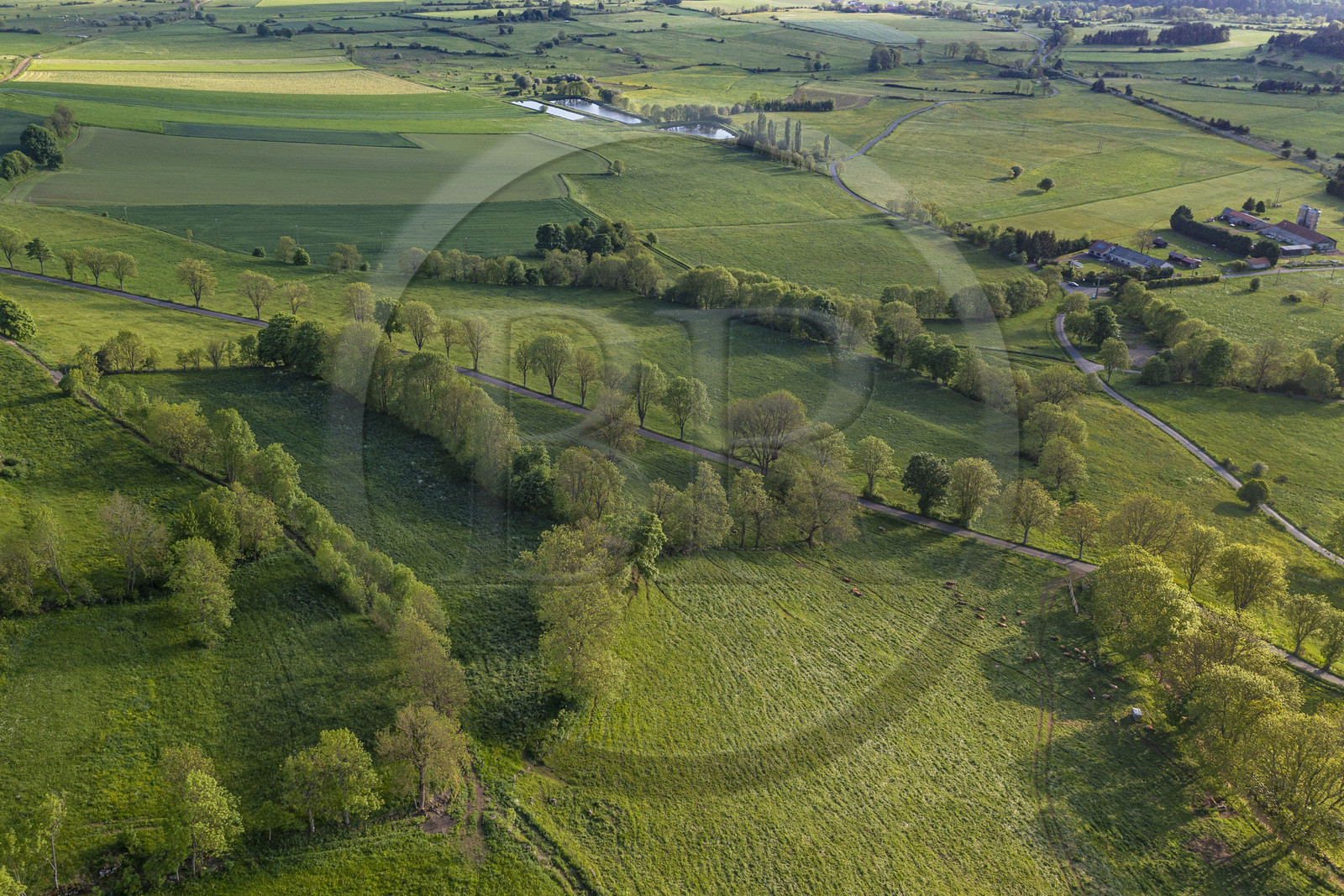 France, Haute-Loire (43), Pradelles, the countryside south of the village on the Robert Louis Stevenson Trail (GR 70) (aerial view)