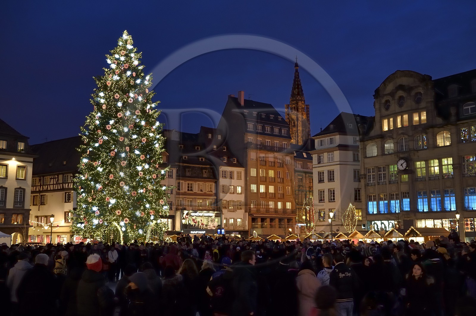 France, Bas-Rhin (67), Strasbourg, vieille ville classée Patrimoine Mondial de l'UNESCO, le Grand Sapin de Noël de la place Kléber et la Cathédrale Notre Dame en arrière plan