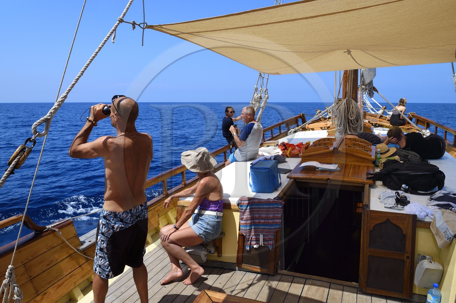 France, Alpes-Maritimes (06), Saint-Jean-Cap-Ferrat, sortie en mer sur le bateau Santo Sospir avec l'association SOS Grand Bleu pour l'observation des dauphins et des baleines dans le Sanctuaire Pelagos
