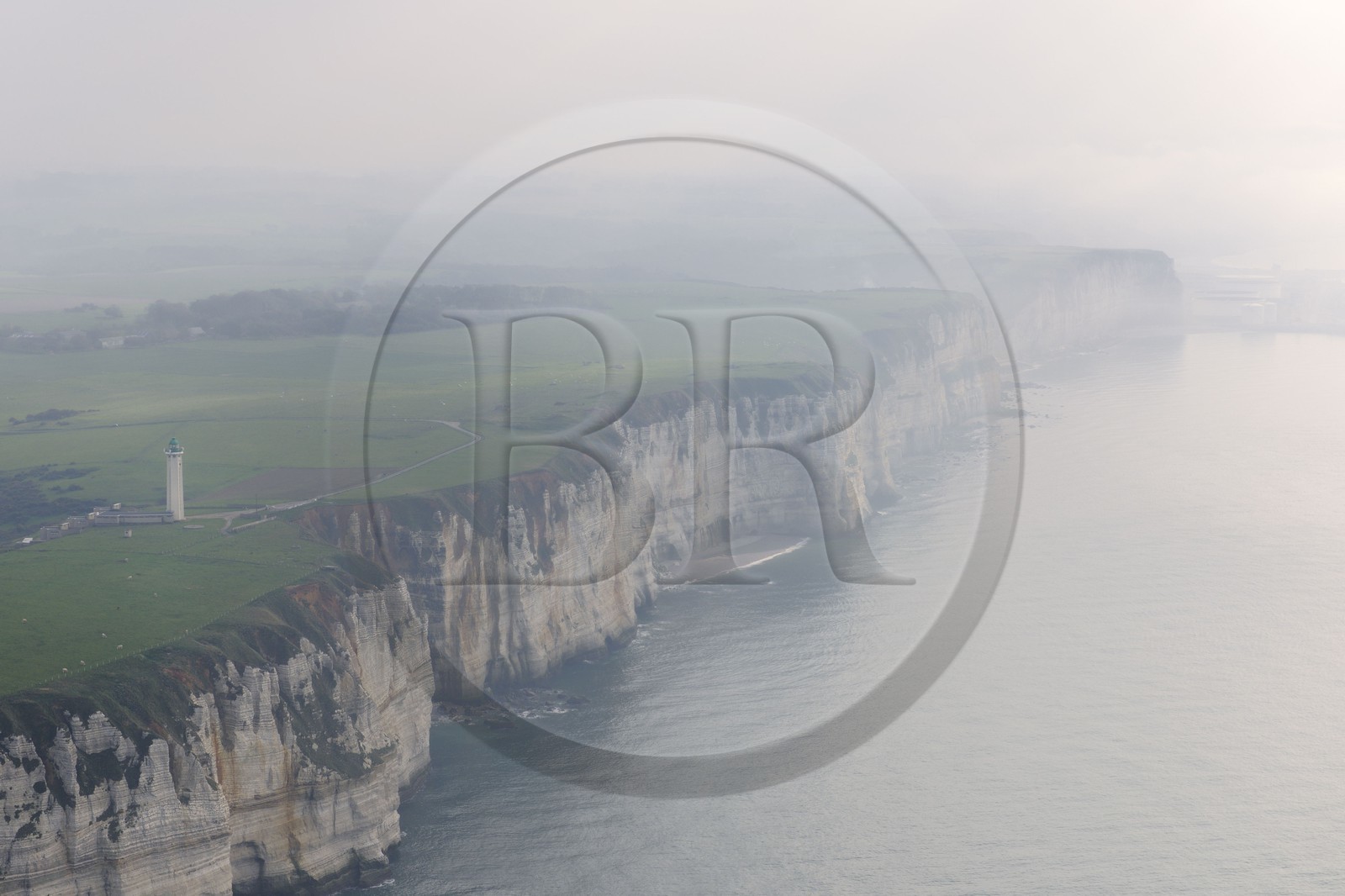France, Seine-Maritime, Pays de Caux, Cote d'Albatre, cattle herd along the cliffs south of Etretat (aerial view)