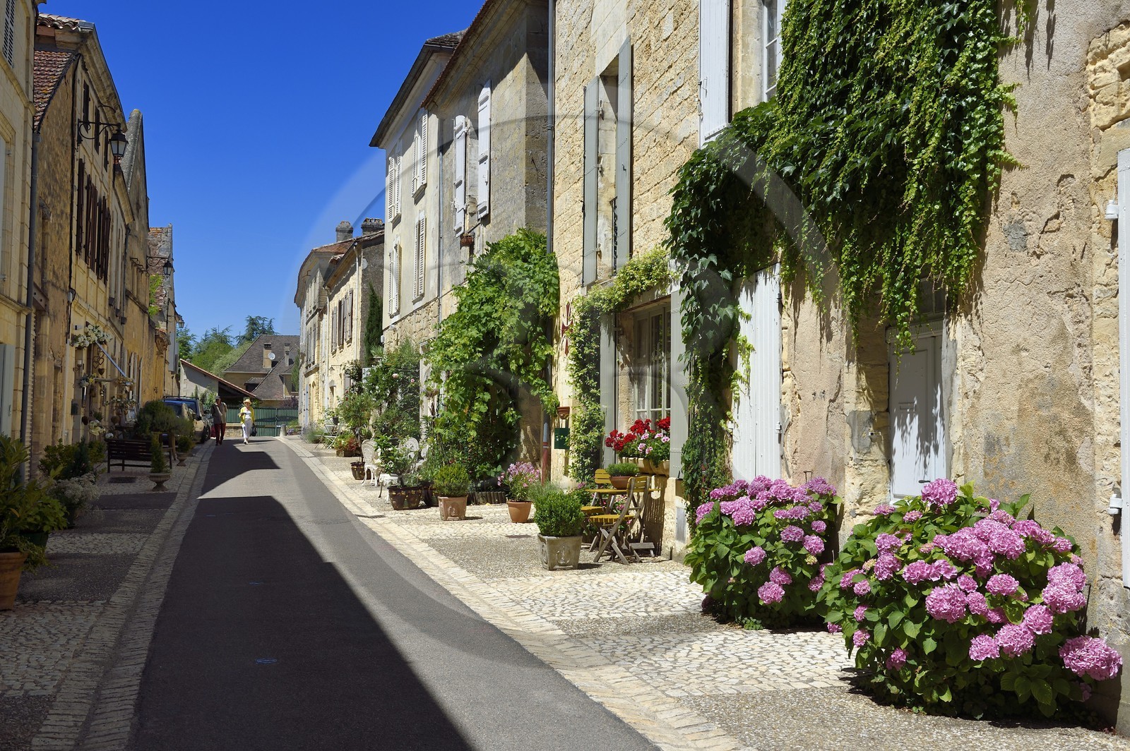 France, Dordogne (24), Périgord Pourpre, Beaumont-du-Périgord, rue Ratier