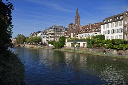 France, Bas-Rhin (67), Strasbourg, les bords de la rivière l'Ill face au quai des Bateliers et la cathédrale