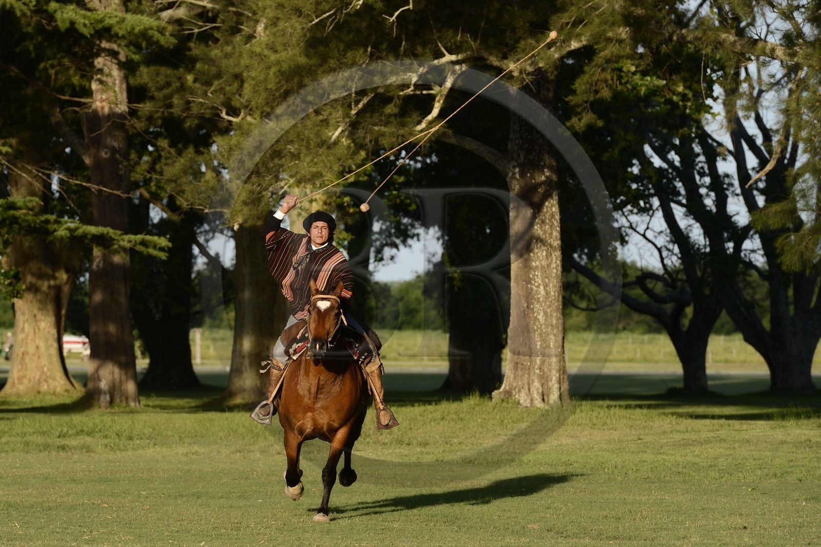 Argentina, Buenos Aires Province, San Antonio de Areco, estancia La Bamba de Areco, gaucho demonstrating the use of bolas (or boleadoras) designed to capture animals by interfering with their feet