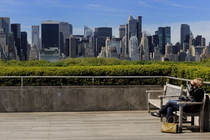 Etats-Unis, New York, Manhattan, East Side, les immeubles de Midtown et Central Park vus depuis la terrasse du Metropolitan Museum of art (MET)