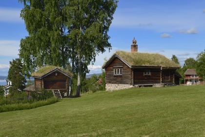 Suède, comté de Dalécarlie, région de Leksand, Tällberg, maison traditionnelle au toit végétalisé