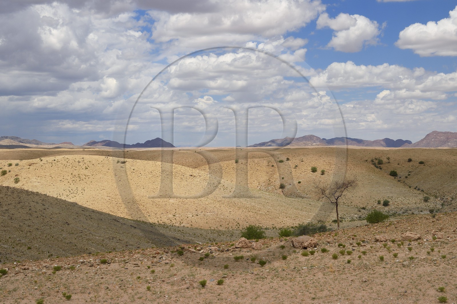 Namibie, région de Khomas, désert du Namib en bordure du Gamsberg Nature Reserve à l'ouest et du parc national Namib Naukluft à l'Est