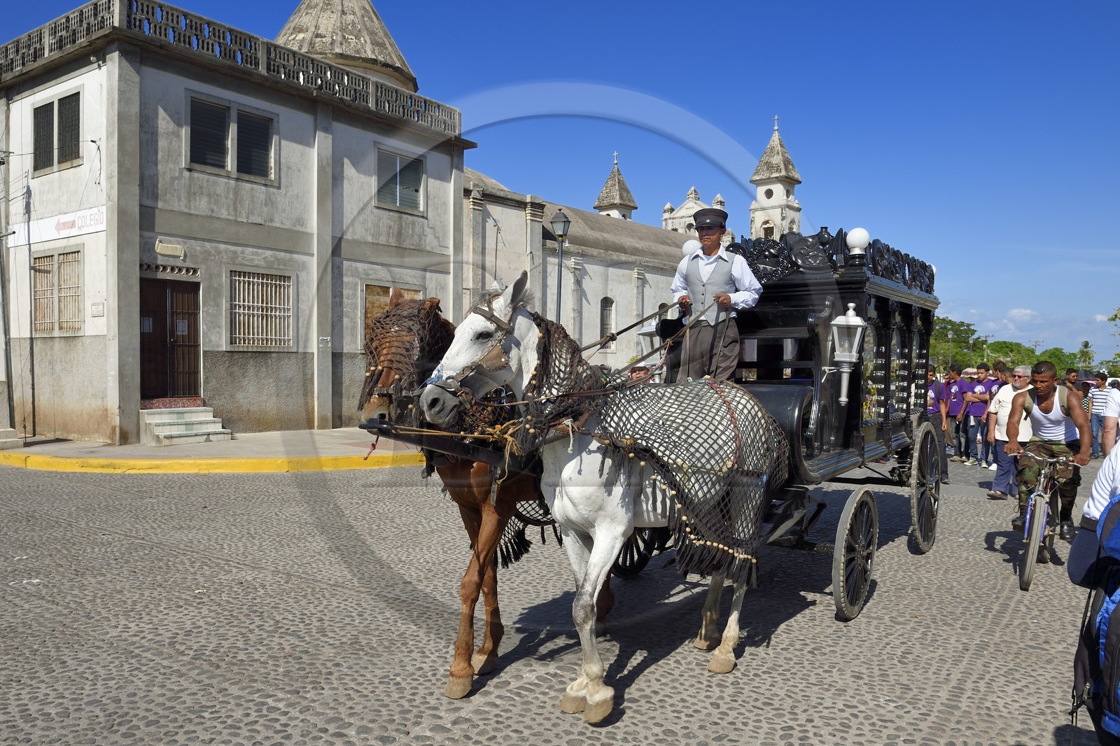 Nicaragua, Granada, corbillard traditionnel tiré par deux chevaux pour un enterrement devant l'église de Guadalupe