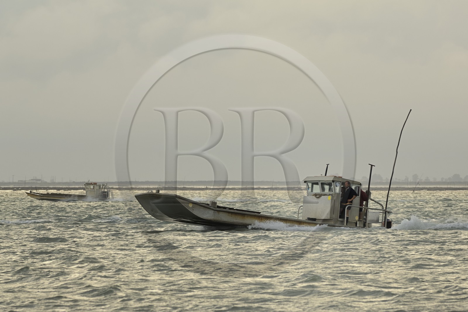 France, Charente-Maritime (17), le bassin Marrennes-Oléron au large de l'Ile d'Oléron