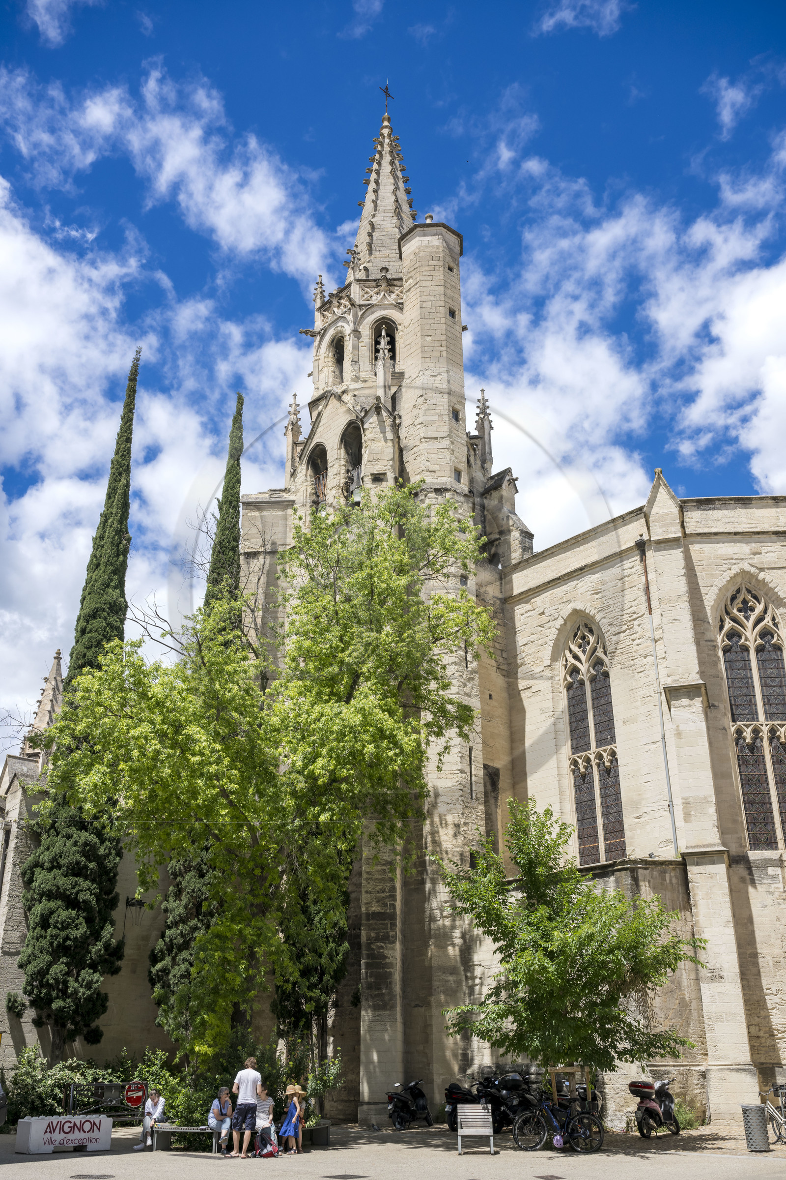 France, Vaucluse (84), Avignon, basilique Saint Pierre (XVe et XVIe siècle)