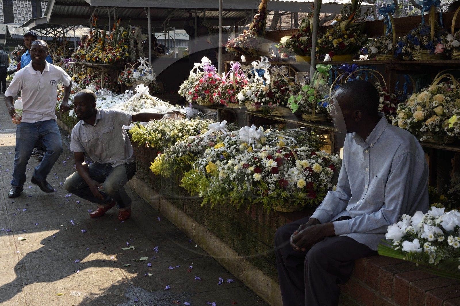 Zimbabwe, Harare, florists on the African Unity Square (formerly Cecil Square)