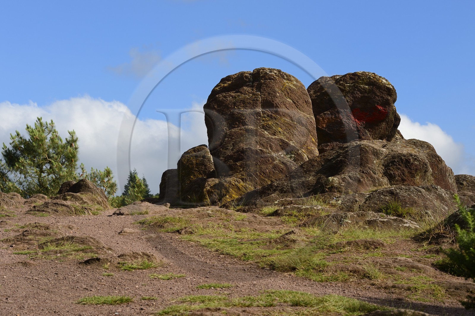 France, Morbihan (56), forêt de Brocéliande, Tréhorenteuc, la lande du Val sans retour