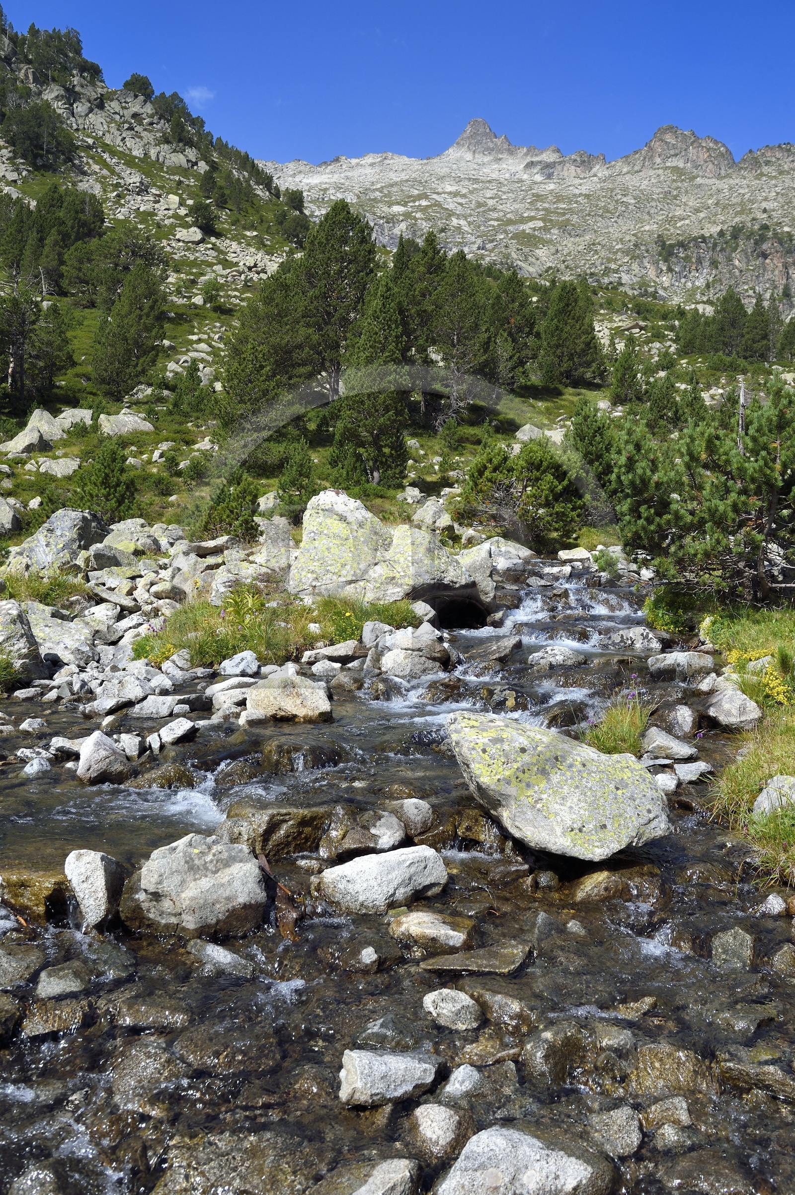 France, Hautes-Pyrénées (65), Saint-Lary-Soulan, Réserve naturelle nationale du Néouvielle, randonnée des lacs du Neouvielle, torrent au dessus des Laquettes