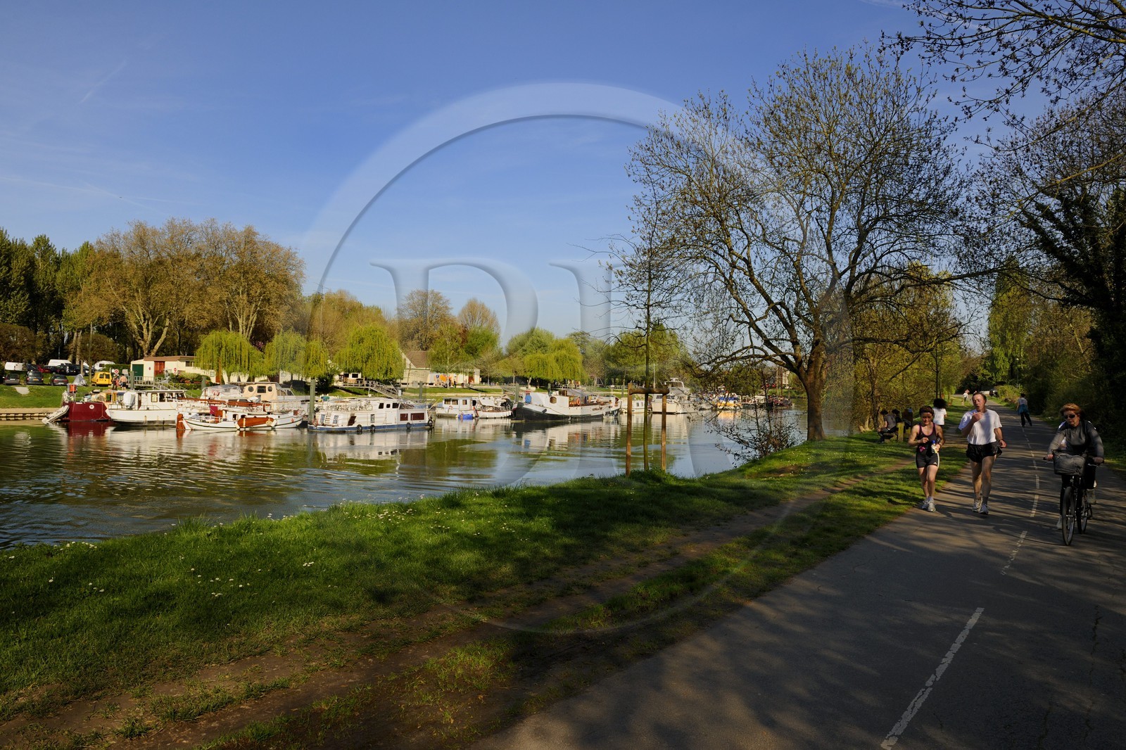 France, Val-de-Marne (94), les bords de Marne, Noisy-Le-Grand, joggeurs et cyclistes sur la voie cyclable