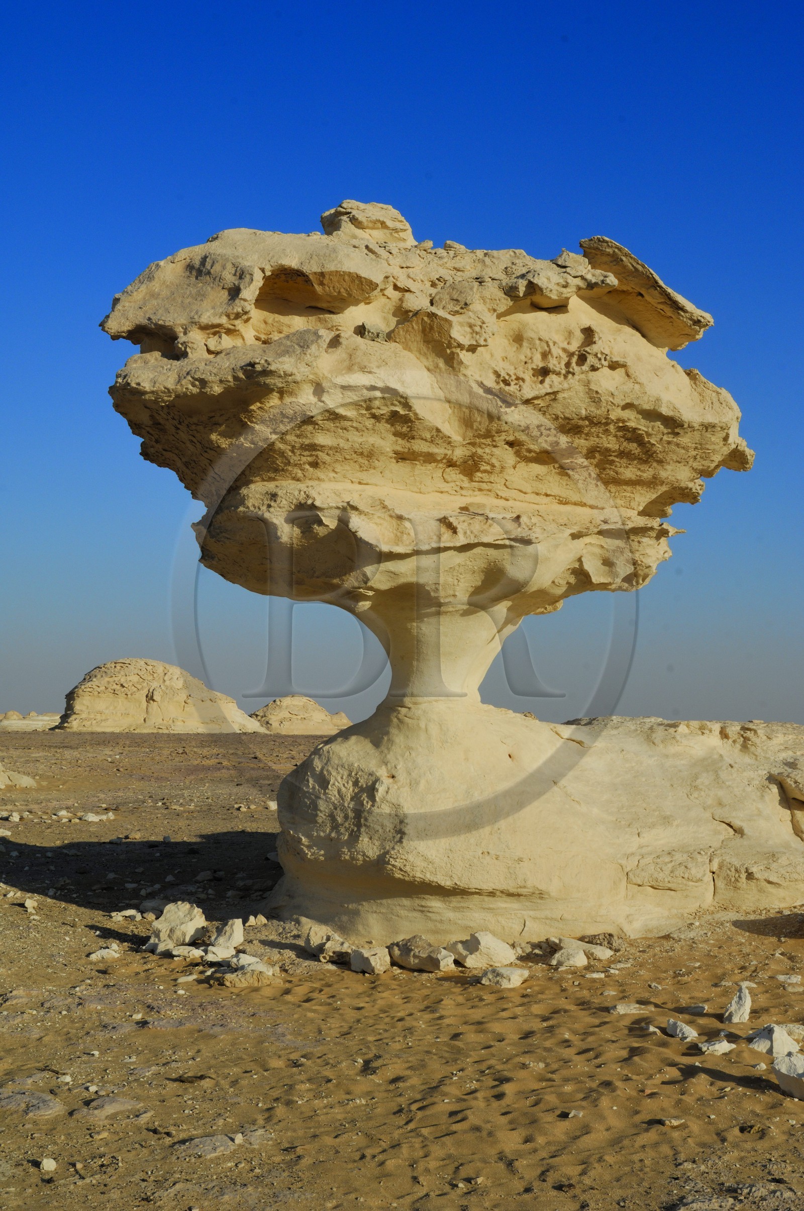 Egypt, Libyan Desert, the White Desert North of Farafra