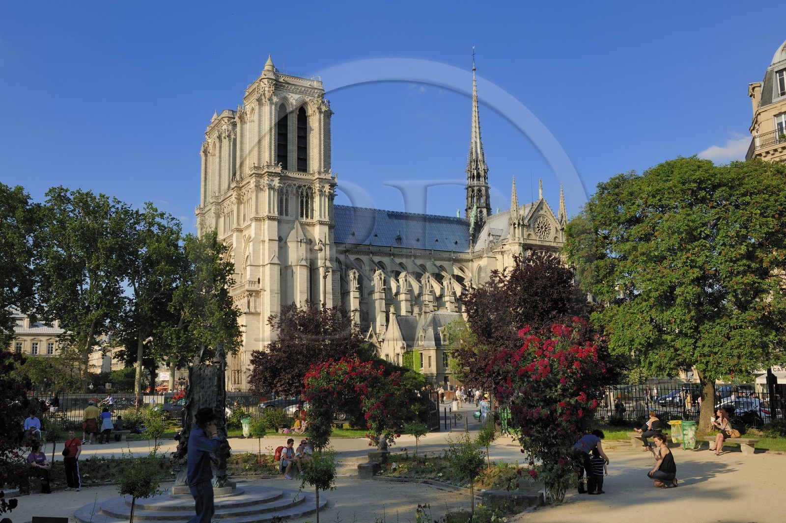 France, Paris (75), île de la Cité, la cathédrale Notre-Dame depuis le square René Viviani