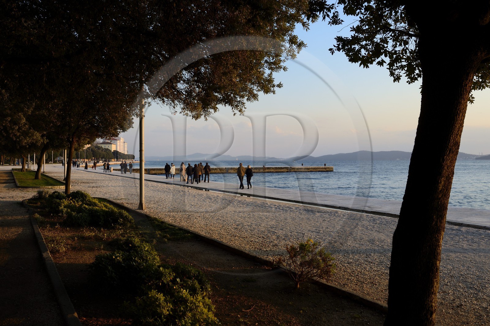 Croatie, Dalmatie, côte dalmate, Zadar, la Riva (promenade du bord de mer)