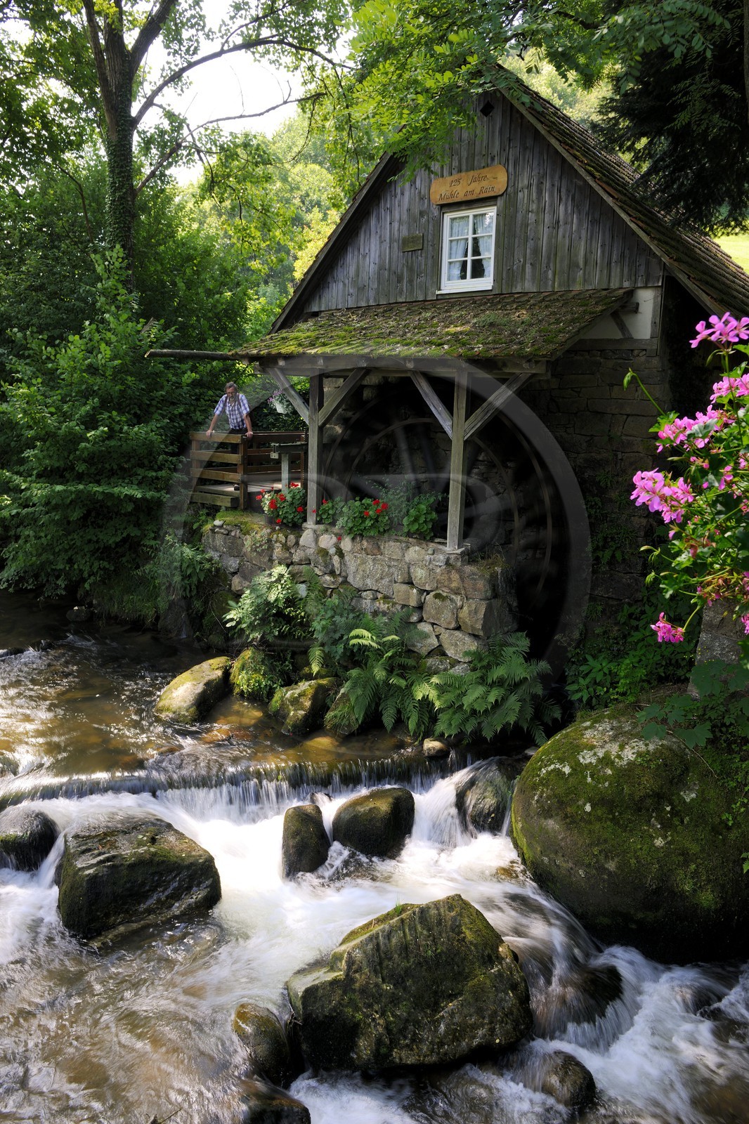 Germany, Black Forest, Schwarzwald, Baden-Württemberg, Ottenhoffen Region, Mühle am Rain mill