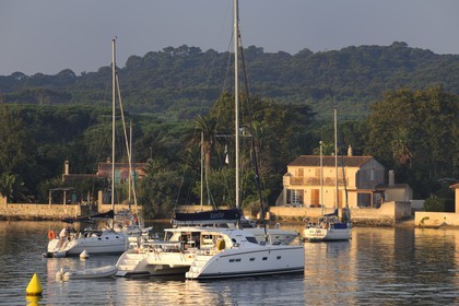 France, Var (83), Iles d'Hyères, parc national de Port-Cros, île de Porquerolles, le port du village