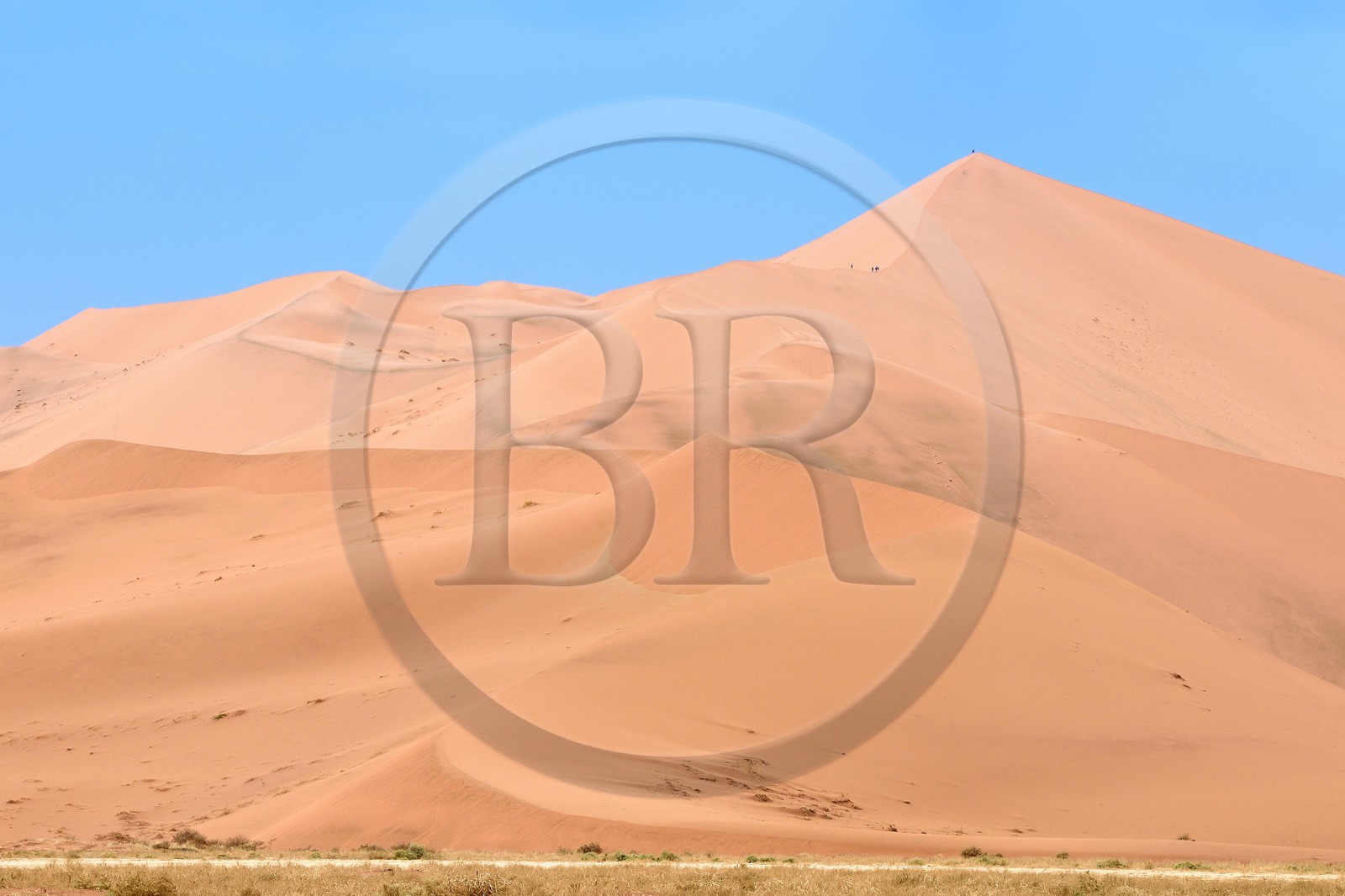 Namibie, région d'Hardap, désert du Namib, parc national du Namib-Naukluft, Erg du Namib classé Patrimoine Mondial de l'UNESCO, dunes de Sossusvlei, randonneurs sur la dune Big Daddy