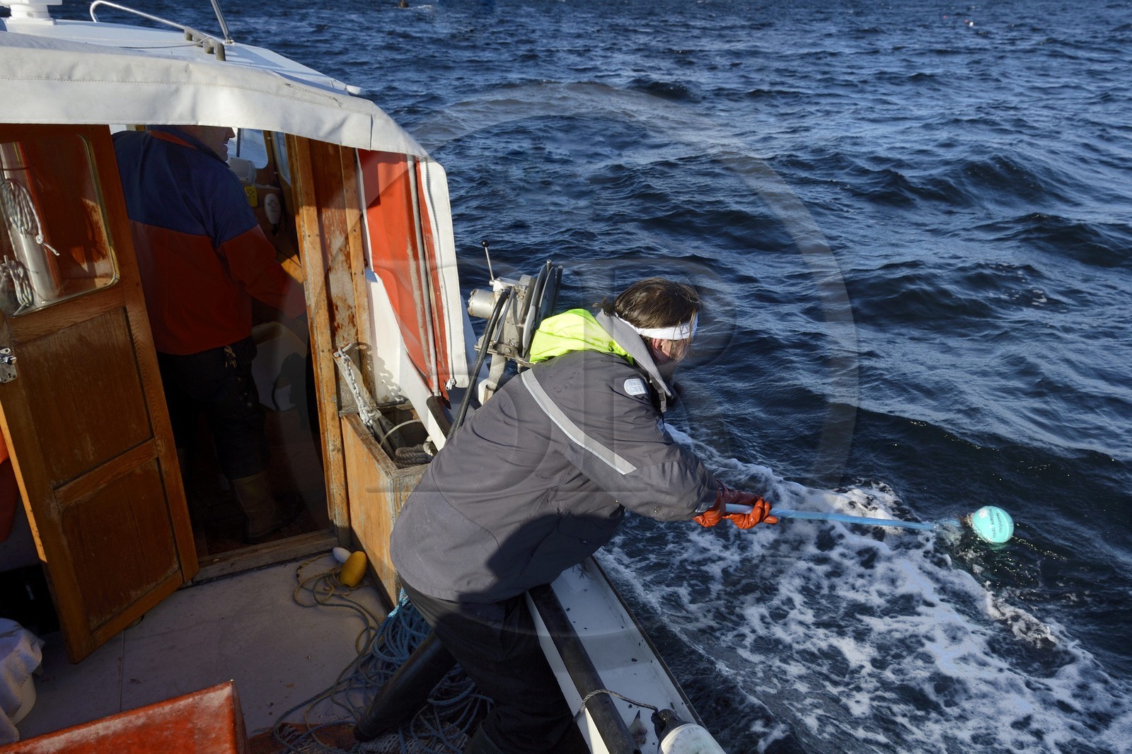 Suède, Västra Götaland, Iles Koster, sortie en mer pour récupérer les casiers à homards