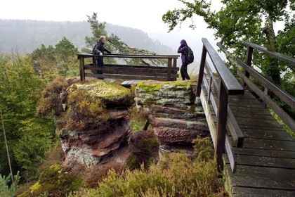 France, Bas-Rhin (67), Parc Naturel régional des Vosges du Nord, La Petite Pierre, randonneurs sur le sentier des Trois Roches au Rocher du Saut du Chien