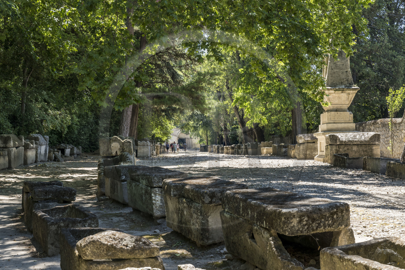 France, Bouches-du-Rhône (13), Arles, les Alyscamps, site classé Patrimoine Mondial de l'UNESCO, nécropole païenne puis chrétienne de l'époque romaine au Moyen Age, comprenant de très nombreux sarcophages