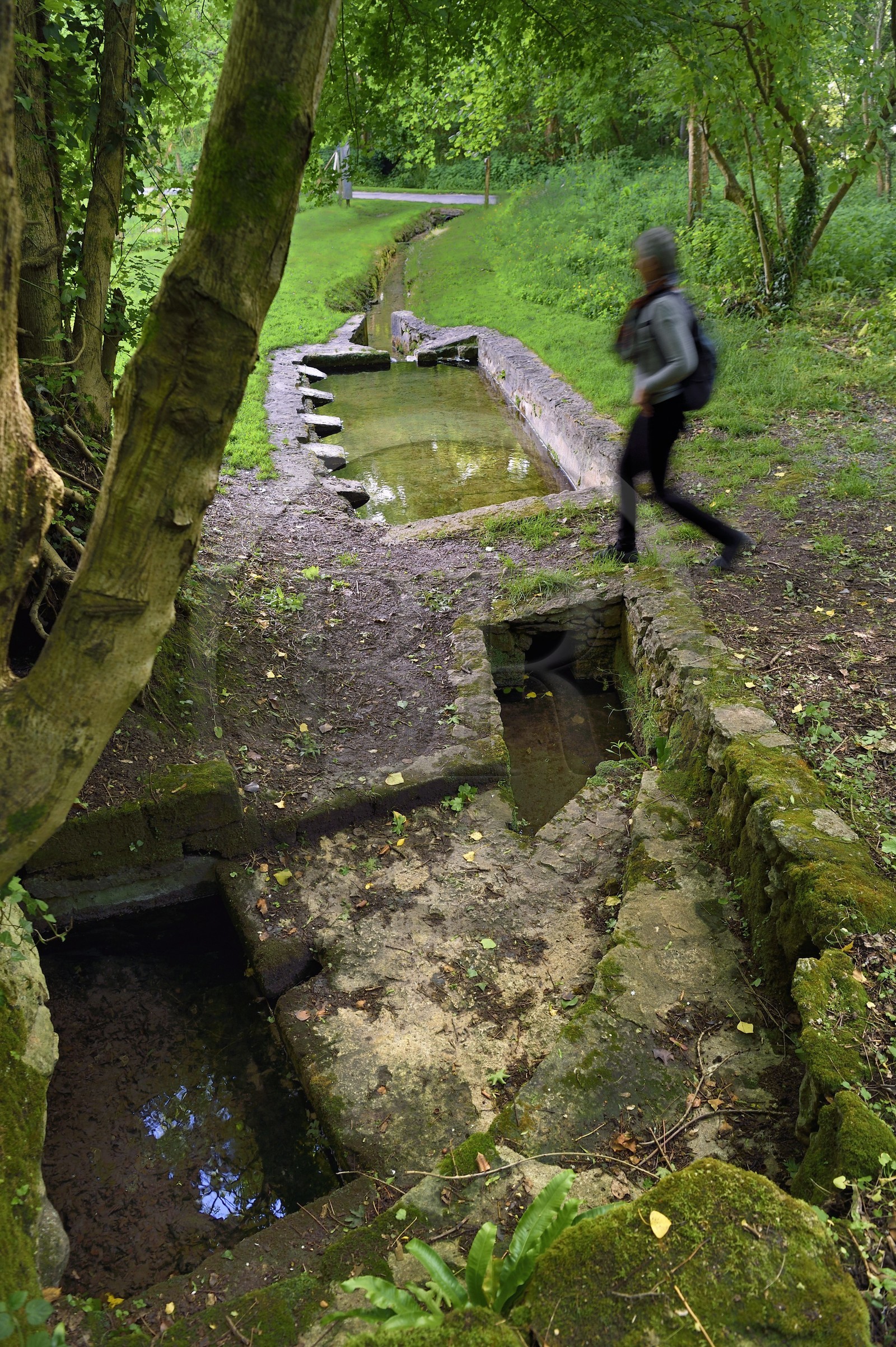 France, Charente-Maritime (17), Saint-Sauvant, lavoir de la Font Benite
