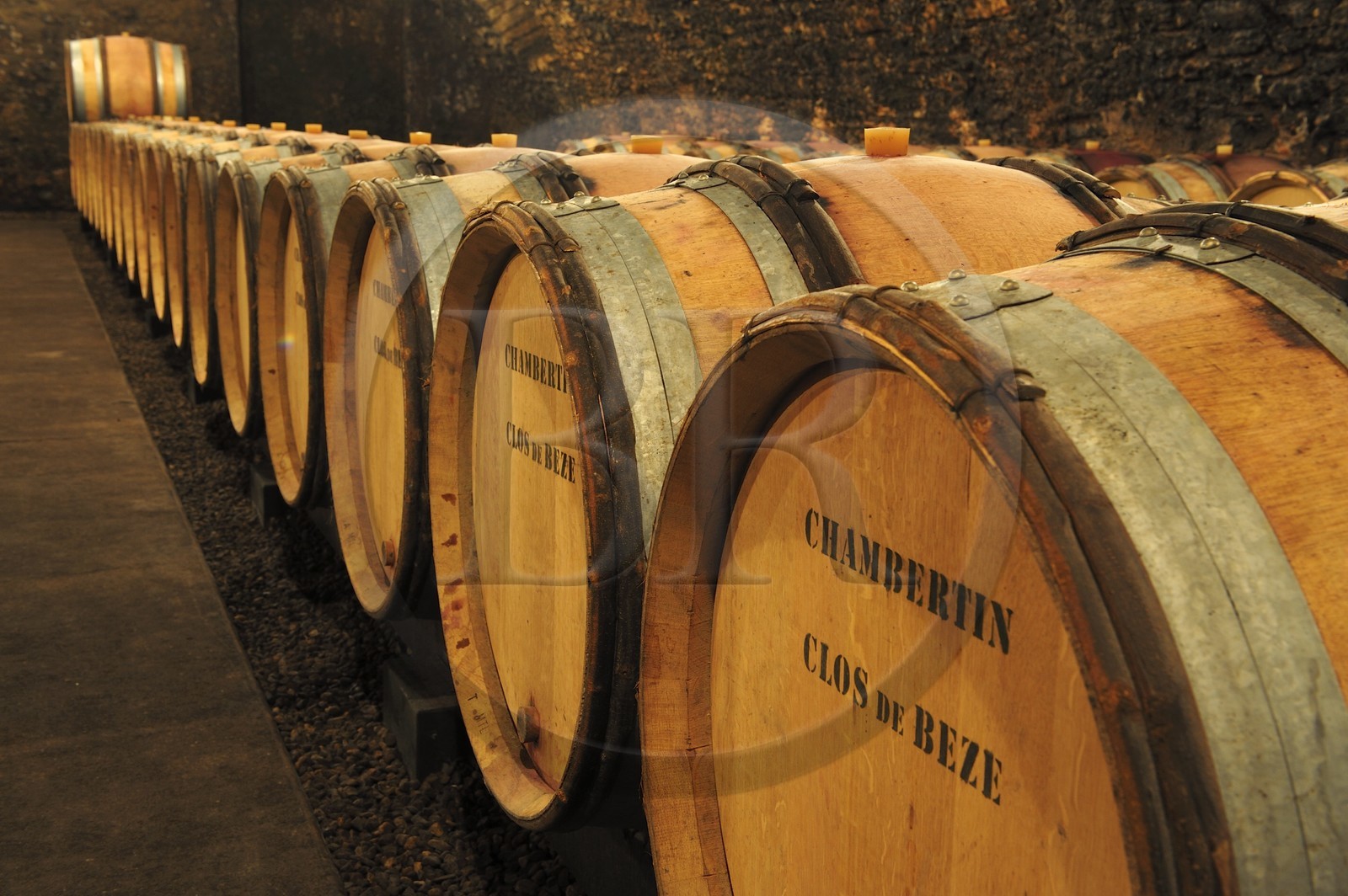 France, Côte d'Or (21), Gevrey-Chambertin, cave du domaine Drouhin-Laroze