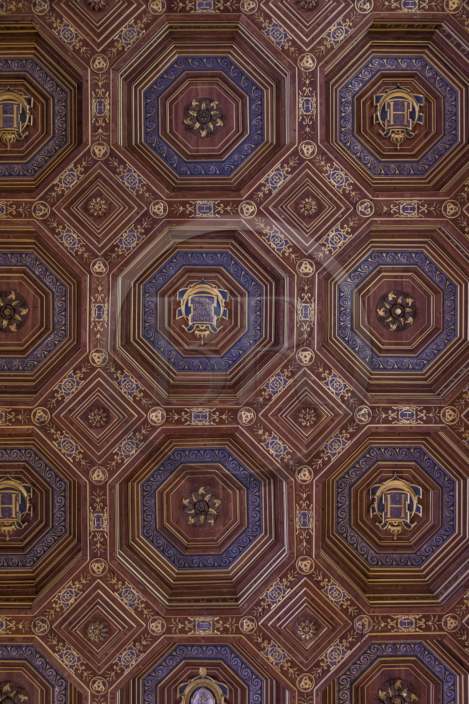France, Seine-et-Marne, Fontainebleau, castle of Fontainebleau listed as World Heritage by UNESCO, the ballroom, coffered ceiling decorated with gold and silver